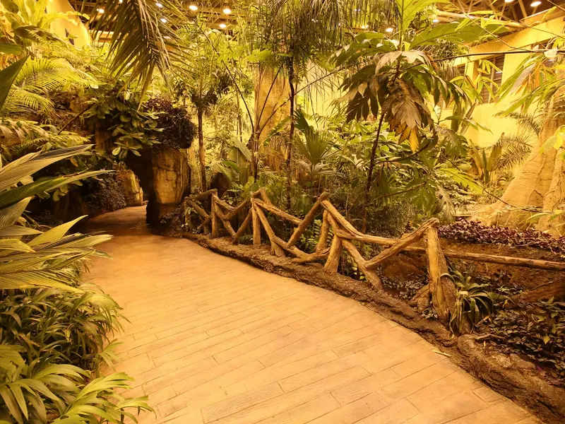 Walkway in the Amazon rainforest section